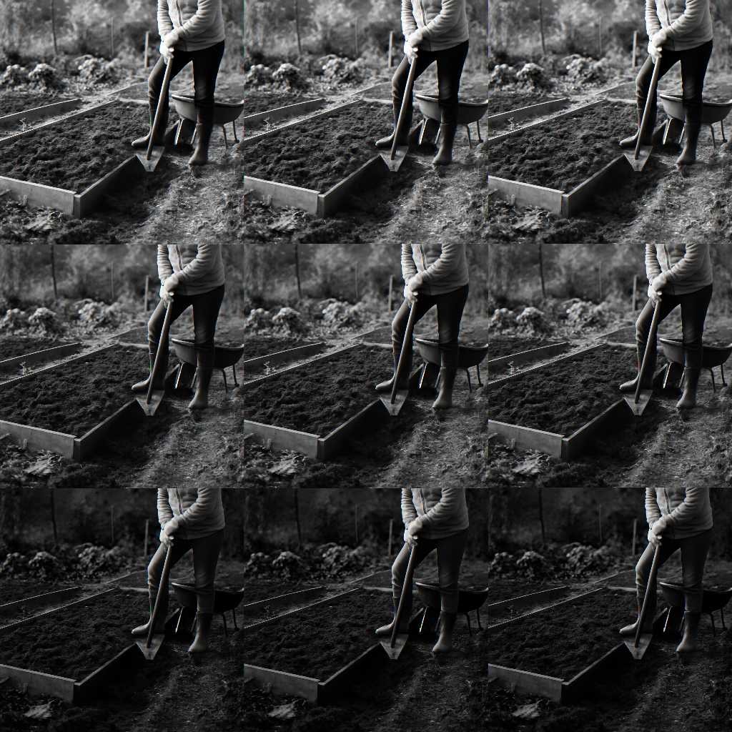 подготовка огорода к зиме